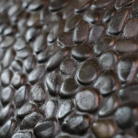 The Nest In Downtown *